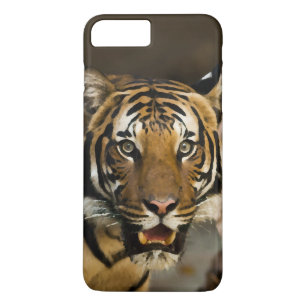 Sibirischer Tiger Case-Mate iPhone Hülle