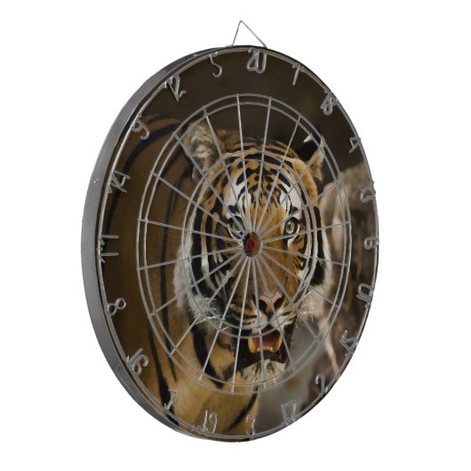 Sibirischer Tiger Dartscheibe (Vorderseite Links)