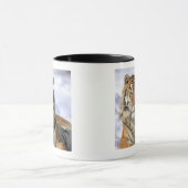 Sibirischer Tiger, der Pantheratigris altaica, Tasse (Zentrum)