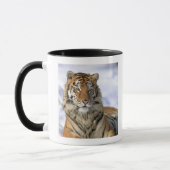 Sibirischer Tiger, der Pantheratigris altaica, Tasse (Links)
