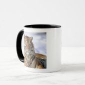 Sibirischer Tiger, der Pantheratigris altaica, Tasse (Vorderseite Links)