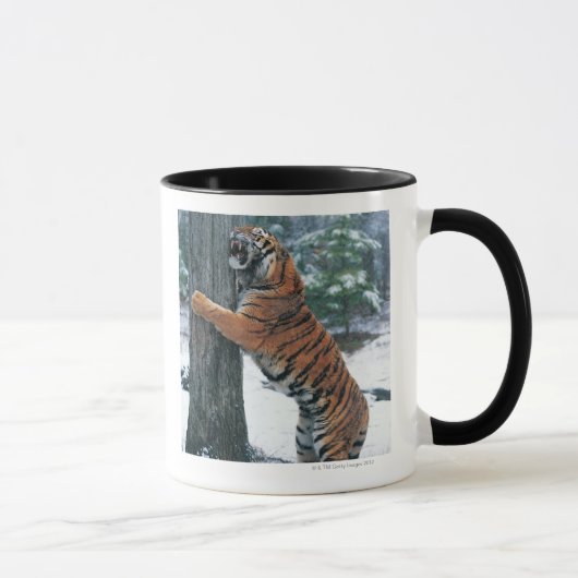 Sibirischer Tiger (der Pantheratigris altaica) Tasse (Rechts)