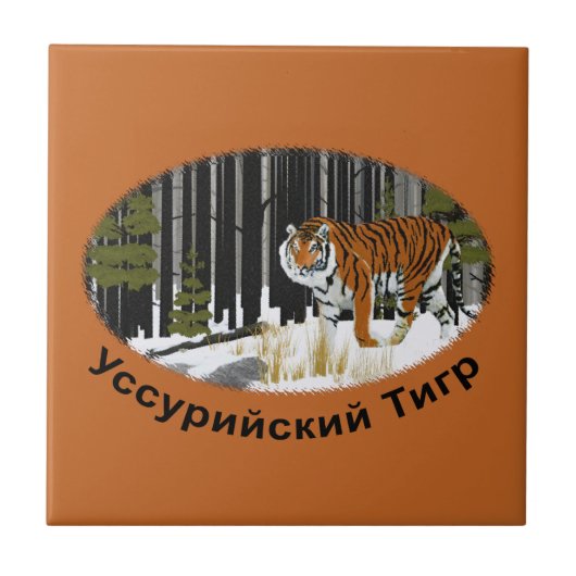 Sibirischer Tiger Fliese (Vorderseite)