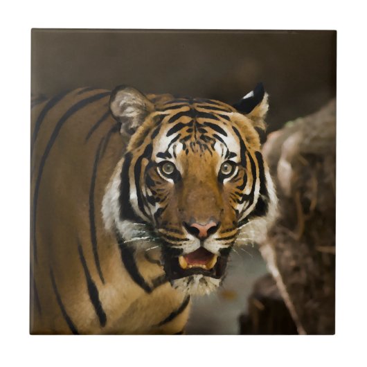 Sibirischer Tiger Fliese (Vorderseite)