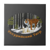 Sibirischer Tiger Fliese (Vorderseite)