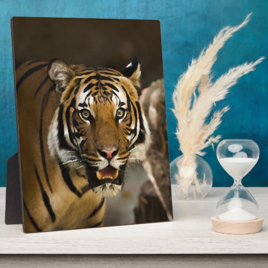 Sibirischer Tiger Fotoplatte (Seite)