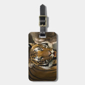 Sibirischer Tiger Gepäckanhänger (Vorderseite vertikal)