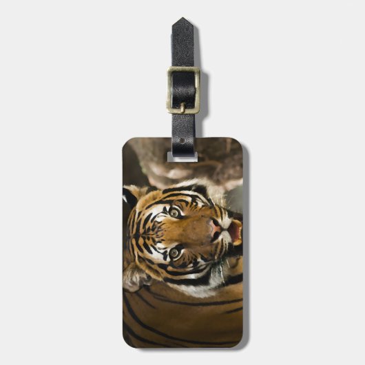 Sibirischer Tiger Gepäckanhänger (Vorderseite vertikal)