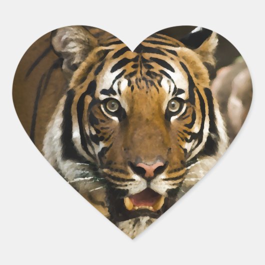 Sibirischer Tiger Herz-Aufkleber (Vorderseite)