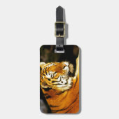 Sibirischer Tiger im Abend Gepäckanhänger (Vorderseite vertikal)