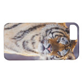 Sibirischer Tiger im Schnee, China Case-Mate iPhone Hülle (Rückseite (Horizontal))