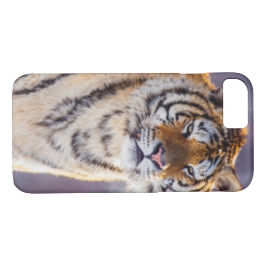 Sibirischer Tiger im Schnee, China Case-Mate iPhone Hülle (Rückseite (Horizontal))