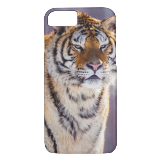 Sibirischer Tiger im Schnee, China Case-Mate iPhone Hülle (Rückseite)