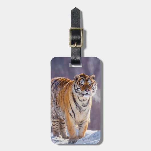 Sibirischer Tiger im Schnee, China Gepäckanhänger (Vorderseite vertikal)