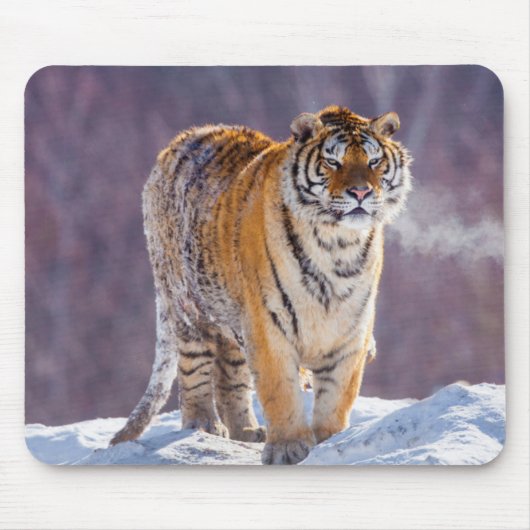 Sibirischer Tiger im Schnee, China Mousepad (Vorne)
