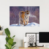 Sibirischer Tiger im Schnee, China Poster (Heimbüro)