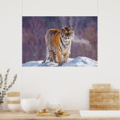 Sibirischer Tiger im Schnee, China Poster (Küche)