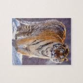 Sibirischer Tiger im Schnee, China Puzzle (Horizontal)
