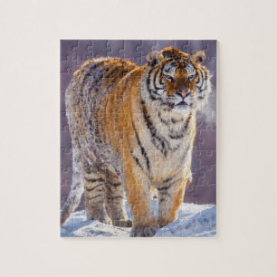 Sibirischer Tiger im Schnee, China Puzzle