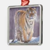 Sibirischer Tiger im Schnee, China Silbernes Ornament (Links)