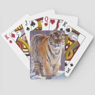 Sibirischer Tiger im Schnee, China Spielkarten