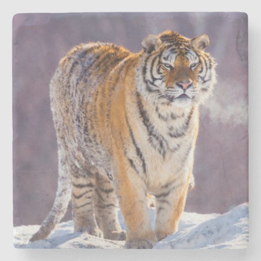 Sibirischer Tiger im Schnee, China Steinuntersetzer (Vorderseite)