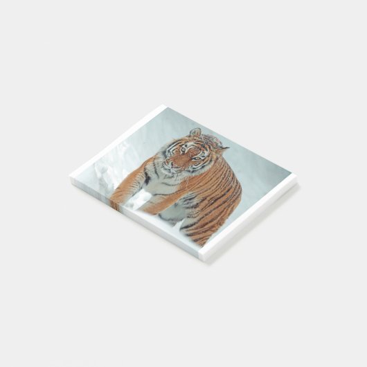 Sibirischer Tiger im Schnee Post-it Klebezettel (angewinkelt)