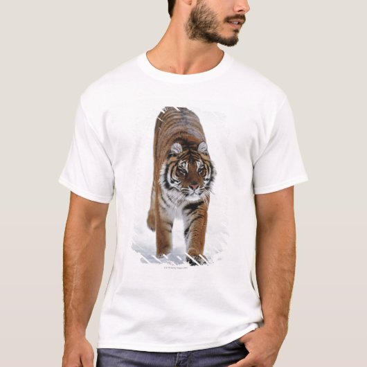 Sibirischer Tiger im Schnee T-Shirt (Vorderseite)