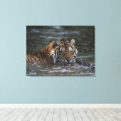 Sibirischer Tiger im Wasser Leinwanddruck (Insitu (Holzboden))
