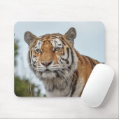 Sibirischer Tiger im Wilden Mousepad (Mit Mouse)