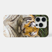 Sibirischer Tiger iPhone Hülle (Rückseite (Horizontal))