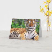 Sibirischer Tiger-leere Karte (Gelbe Blume)