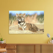 Sibirischer Tiger Leinwanddruck (Insitu (Wohnzimmer))