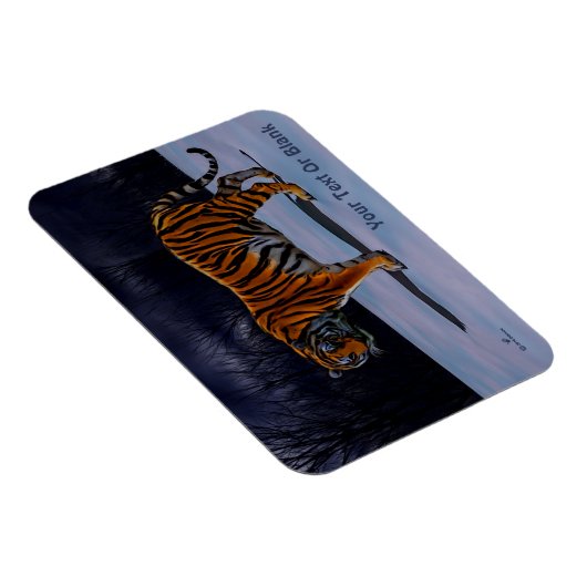 Sibirischer Tiger Magnet (Rechte Seite)