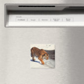 Sibirischer Tiger Magnet (In Situ (Geschirrspüler))