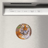 Sibirischer Tiger Magnet (In Situ (Geschirrspüler))