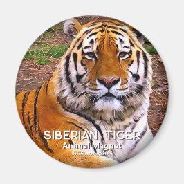 Sibirischer Tiger Magnet