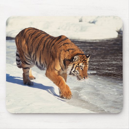 Sibirischer Tiger Mousepad (Vorne)