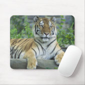 Sibirischer Tiger Mousepad (Mit Mouse)
