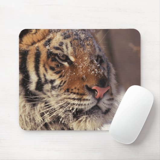 Sibirischer Tiger Mousepad (Mit Mouse)