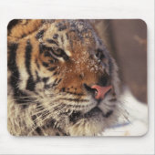 Sibirischer Tiger Mousepad (Vorne)