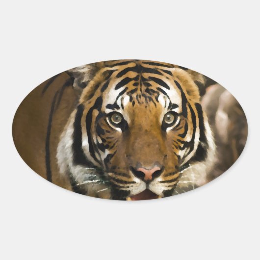 Sibirischer Tiger Ovaler Aufkleber (Vorderseite)