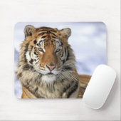 Sibirischer Tiger, Panthera tigris altaica, Asien, Mousepad (Mit Mouse)