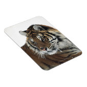Sibirischer Tiger (Panthera Tigris Altaica) Magnet (Rechte Seite)