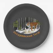 Sibirischer Tiger Pappteller (Vorderseite)