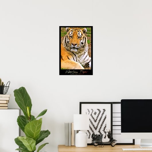 Sibirischer Tiger Poster (Heimbüro)
