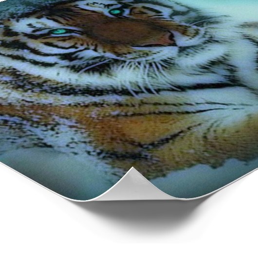 Sibirischer Tiger Poster (Ecke)