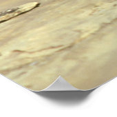 Sibirischer Tiger Poster (Ecke)