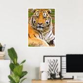 Sibirischer Tiger Poster (Heimbüro)