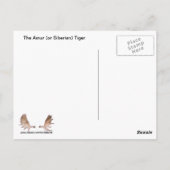 Sibirischer Tiger Postkarte (Rückseite)